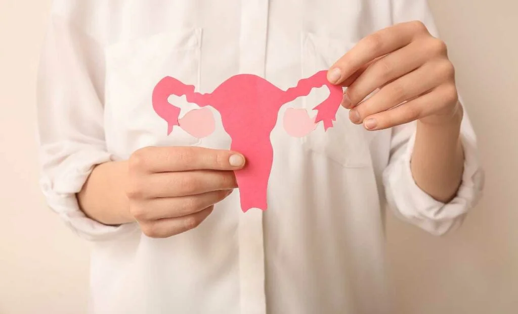 Causes Of Perimenopause