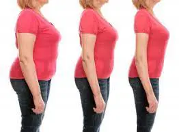Causes of Menopause Weight Gain