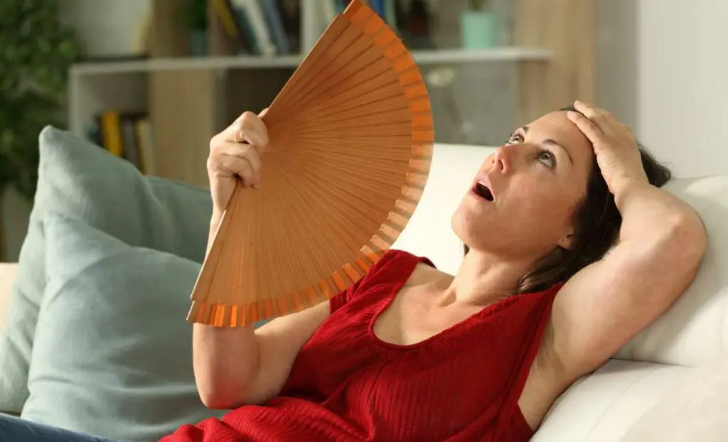 Managing Hot Flashes And Depression During Menopause