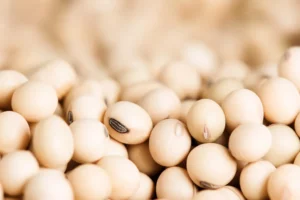 Soybean-A Plant-Powered Protein For Menopausal Joint Pain