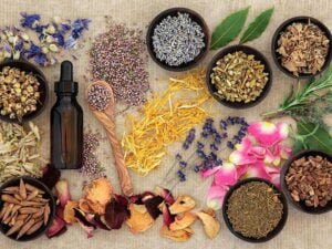 Herbal Supplements and Alternative Therapies