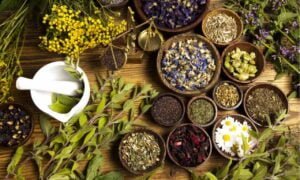 What Are Some Best Used Herbs To Cure PCOS?