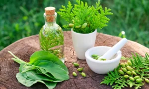 What Is Naturopathy? 