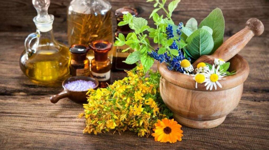 Empowering Wellness: Natural Herbs for Managing PCOS