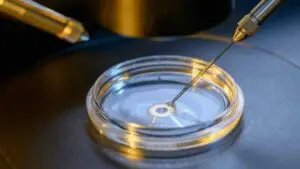 Risks And Considerations Of Fertility Drugs